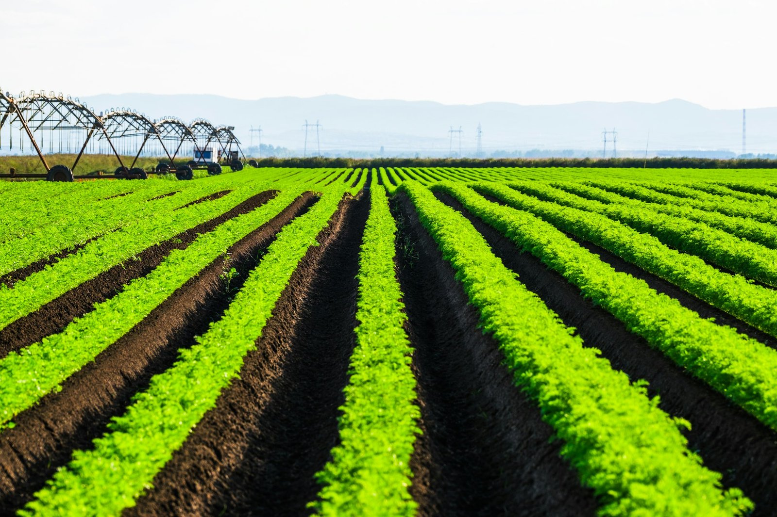 Dashboard do OnePlanner PPM com indicadores de governança e colaboração em projetos integrados ao Microsoft 365