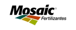 mosaic.webp mosaic.webp